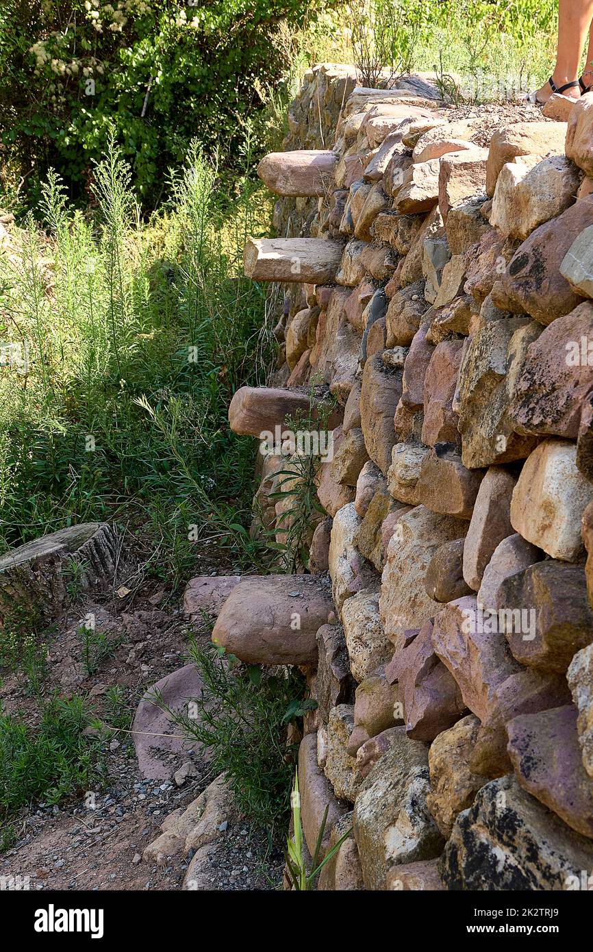 Muro di pietra per i campi con scalini in pietra da scalare, circondato da vegetazione. Foto Stock