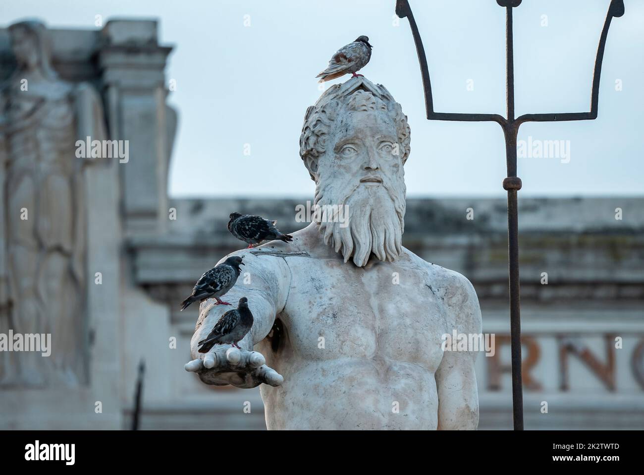 Primo piano di uccelli che si erodano sulla famosa statua e fontana di Nettuno Foto Stock