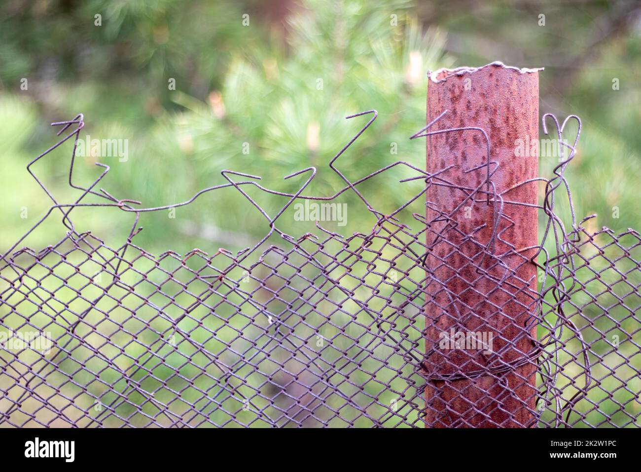 Mesh vecchia gabbia raggred nel giardino e un palo arrugginito con erba verde come sfondo. Recinzione metallica con rete metallica. Recinzione metallica in rete di ferro d'acciaio. Sfondo astratto. spazio di copia. Foto Stock