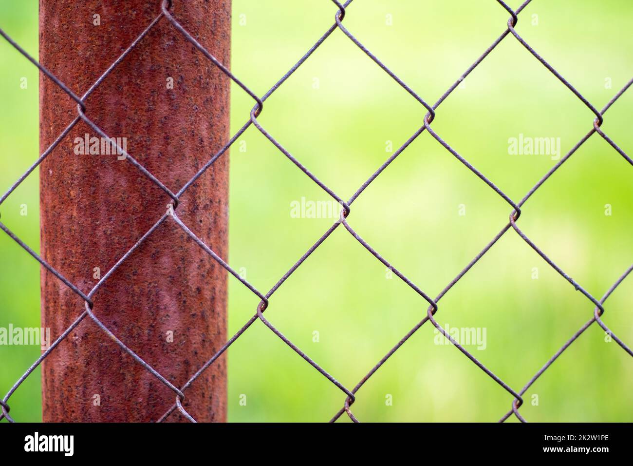 Una gabbia in rete in un giardino e un palo arrugginito con erba verde come sfondo. Recinzione metallica con rete metallica. Vista offuscata della campagna attraverso una recinzione in rete di ferro. Sfondo astratto. Foto Stock