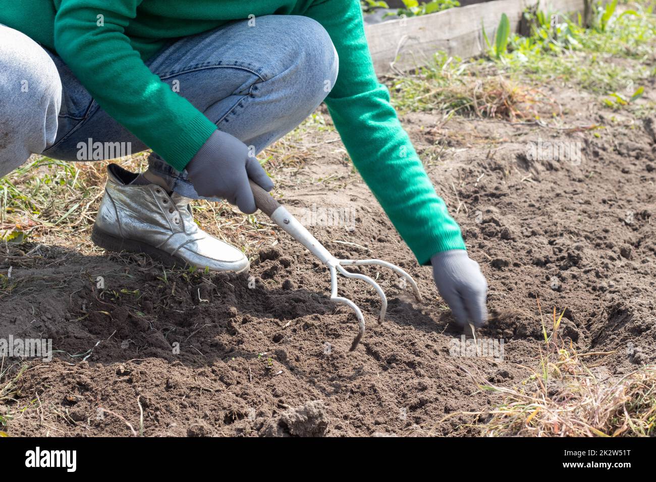 Artiglio Da Giardino Coltivatore Artiglio E Manico Con Manico