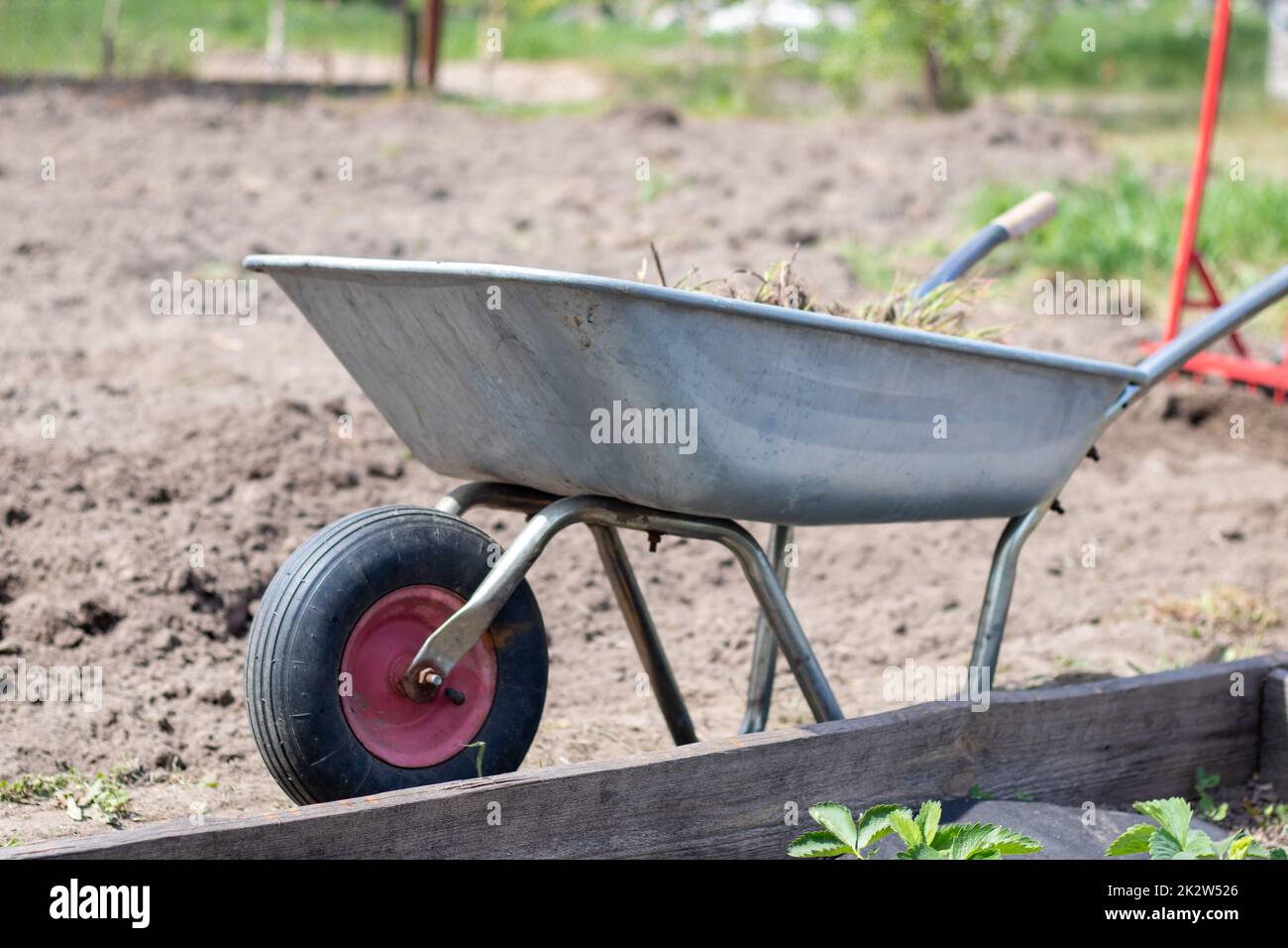 Carriola da giardino piena di terra o compost in azienda. Pulizia del giardino stagionale prima dell'autunno. Sulla strada. Carriola da giardino in metallo piena di erbacce e rami. Foto Stock