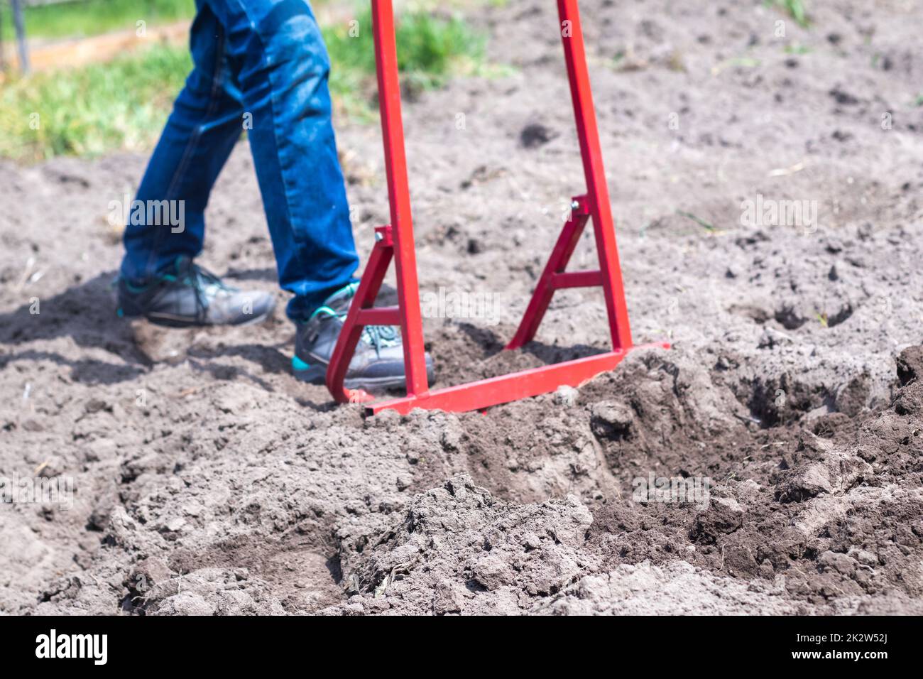 Un contadino in jeans scava il terreno con una pala a forcella rossa. Una pala miracolosa, uno strumento pratico. Coltivatore manuale. Il coltivatore è un efficiente strumento manuale per il dissodamento. Allentamento del letto. Foto Stock