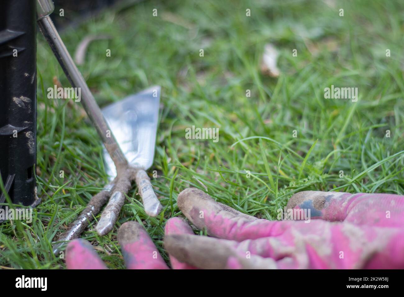Attrezzi da giardino, piccoli rastrelli e guanti rosa a terra e erba verde. spazio di copia. Guanti da lavoro del contadino o del giardiniere, piccolo rastrello da giardino all'aperto durante il giardinaggio. Foto Stock