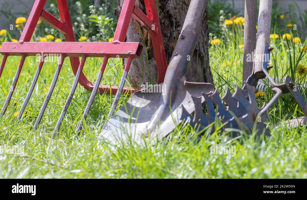 Pala da giardino con manico in legno su sfondo bianco, concetto di  campeggio estivo Foto stock - Alamy