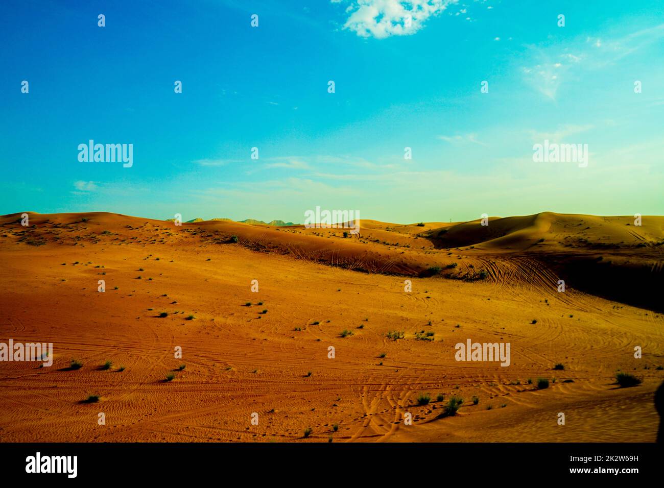 Deserto Arabo di Dubai Foto Stock