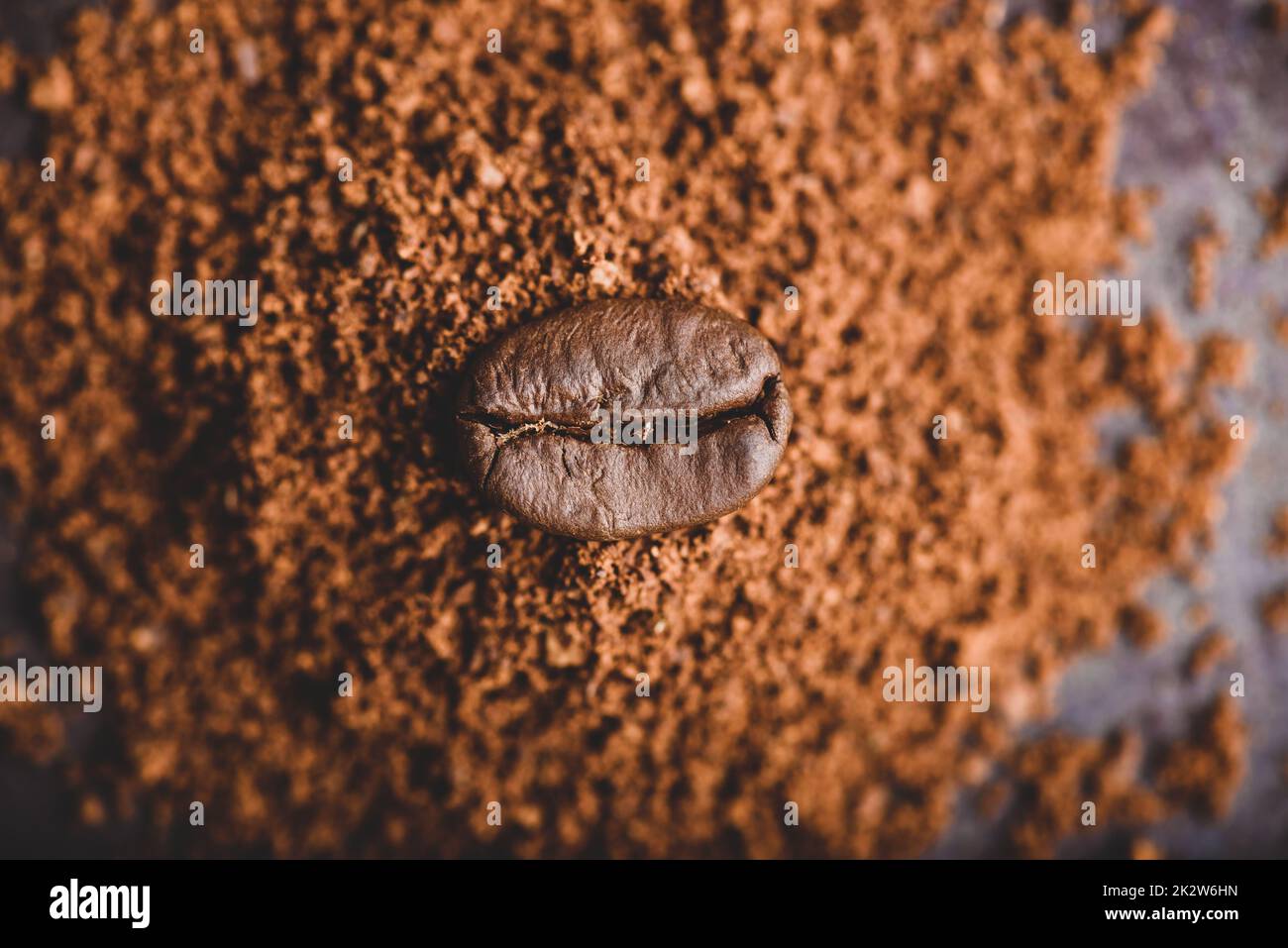 Chicco di caffè sul mucchio di caffè macinato Foto Stock
