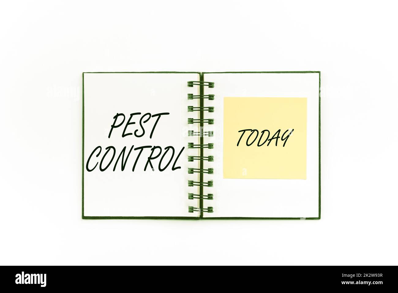 Testo che mostra Inspiration Pest Control. Concetto del Internet che uccide gli insetti distruttivi che attacca i raccolti ed i rifornimenti flashy dell'ufficio della scuola del bestiame, le collezioni imparanti di insegnamento, gli attrezzi di scrittura Foto Stock Testo che mostra Inspiration Pest Control. Concetto del Internet che uccide gli insetti distruttivi che attacca i raccolti ed i rifornimenti flashy dell'ufficio della scuola del bestiame, le collezioni imparanti di insegnamento, gli attrezzi di scrittura Foto Stock