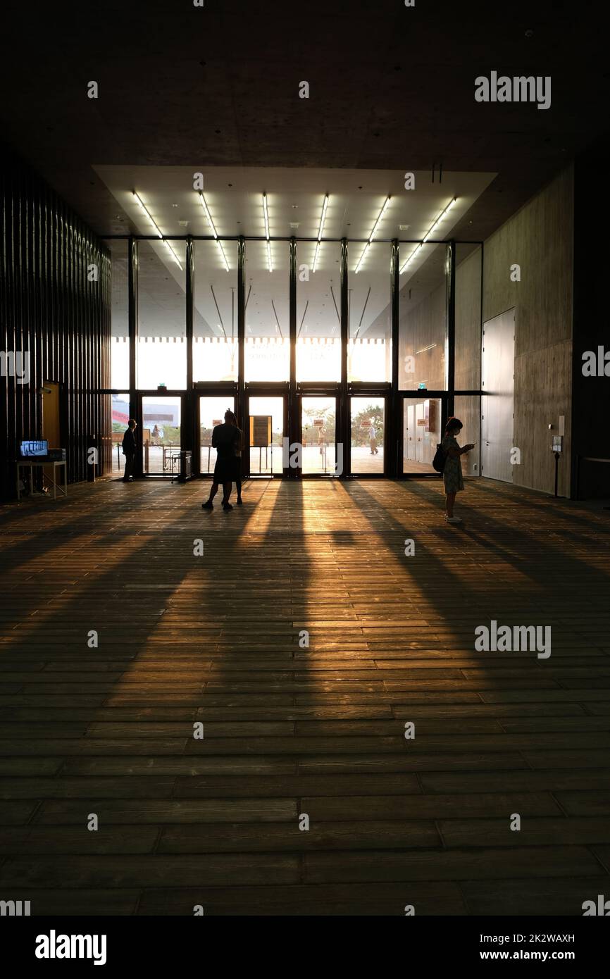 M+ M Plus il museo globale della cultura visiva di Hong Kong i più grandi musei della cultura visiva moderna e contemporanea del quartiere culturale di West Kowloon Foto Stock