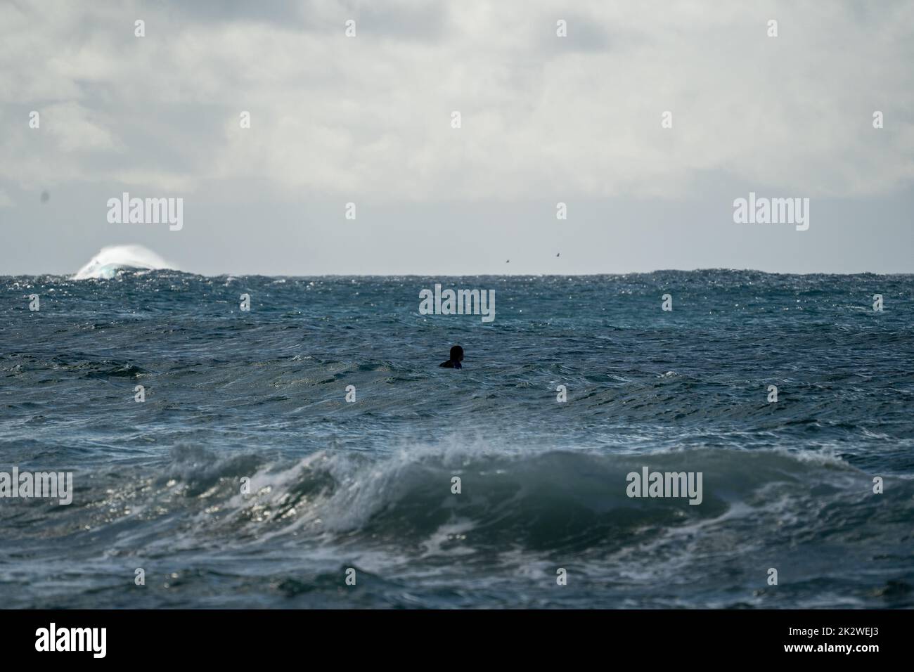 Un surfista in attesa di una grande onda a South Maroubra, Australia Foto Stock