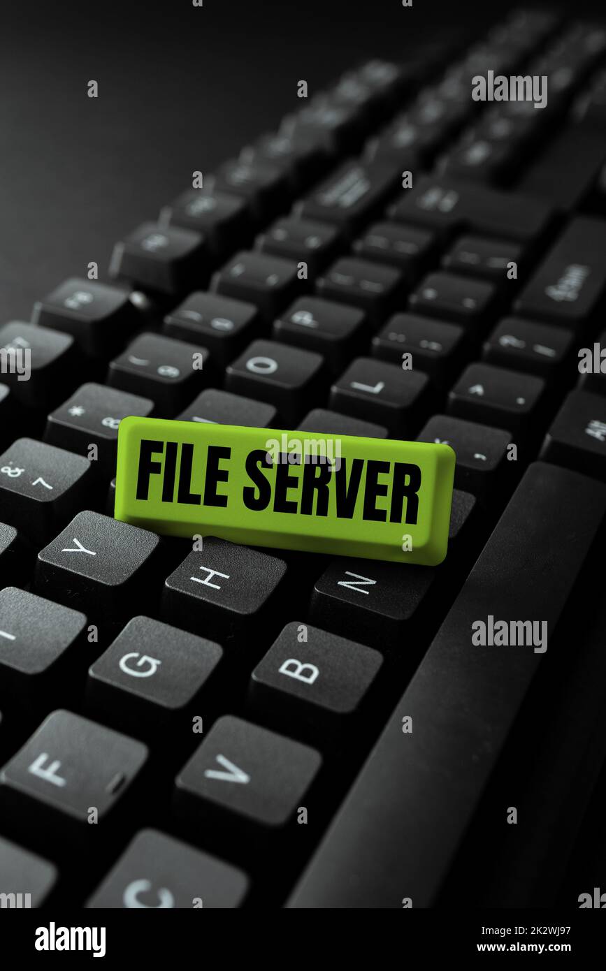 File server di visualizzazione concettuale. Dispositivo fotografico concettuale che controlla l'accesso ai dati memorizzati separatamente -49204 Foto Stock