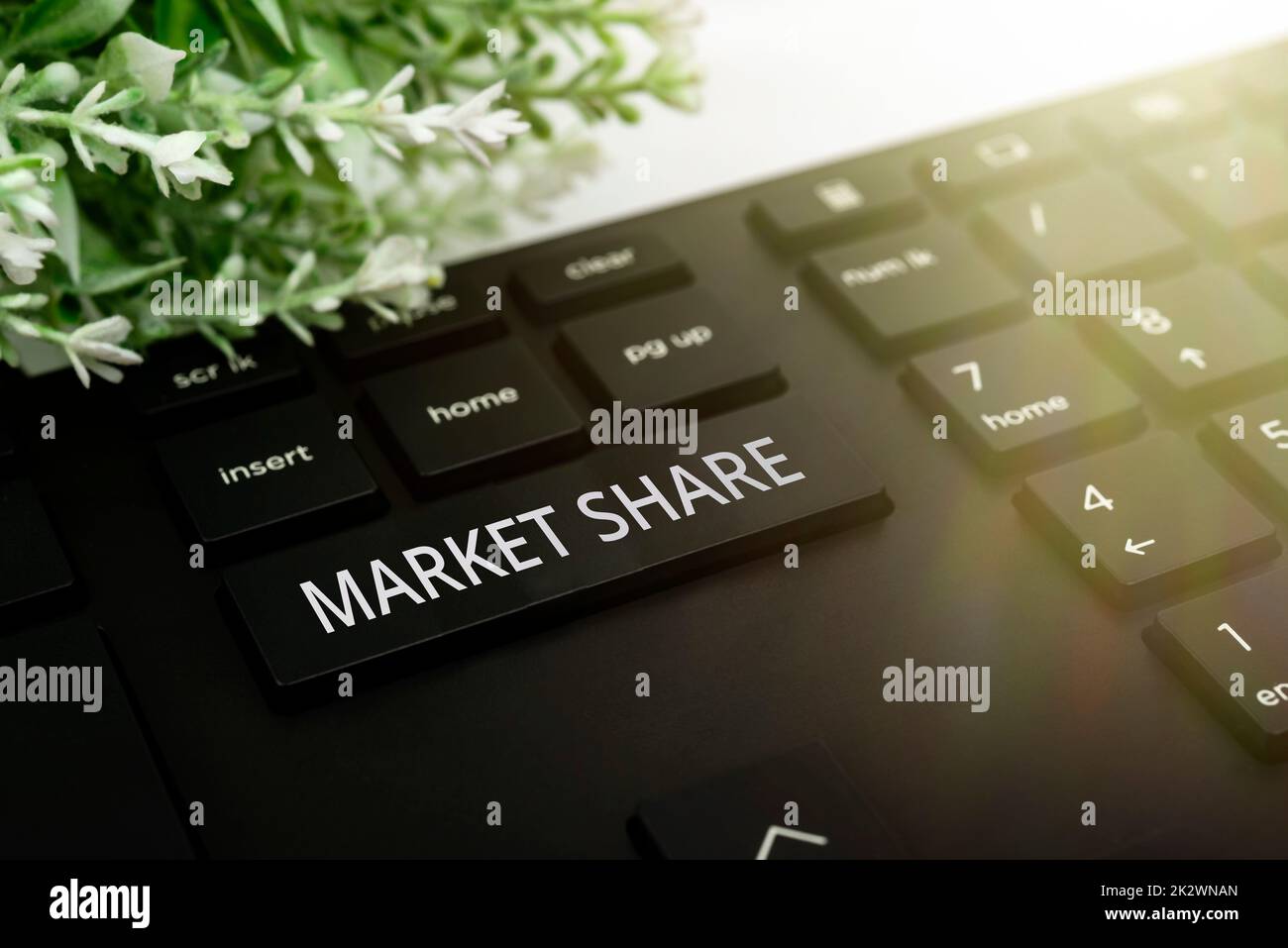Testo che mostra la quota di mercato dell'ispirazione. Idea di business parte di un mercato controllato da una particolare azienda computer Keyboard e Symbol.Information Medium for Communication. Foto Stock