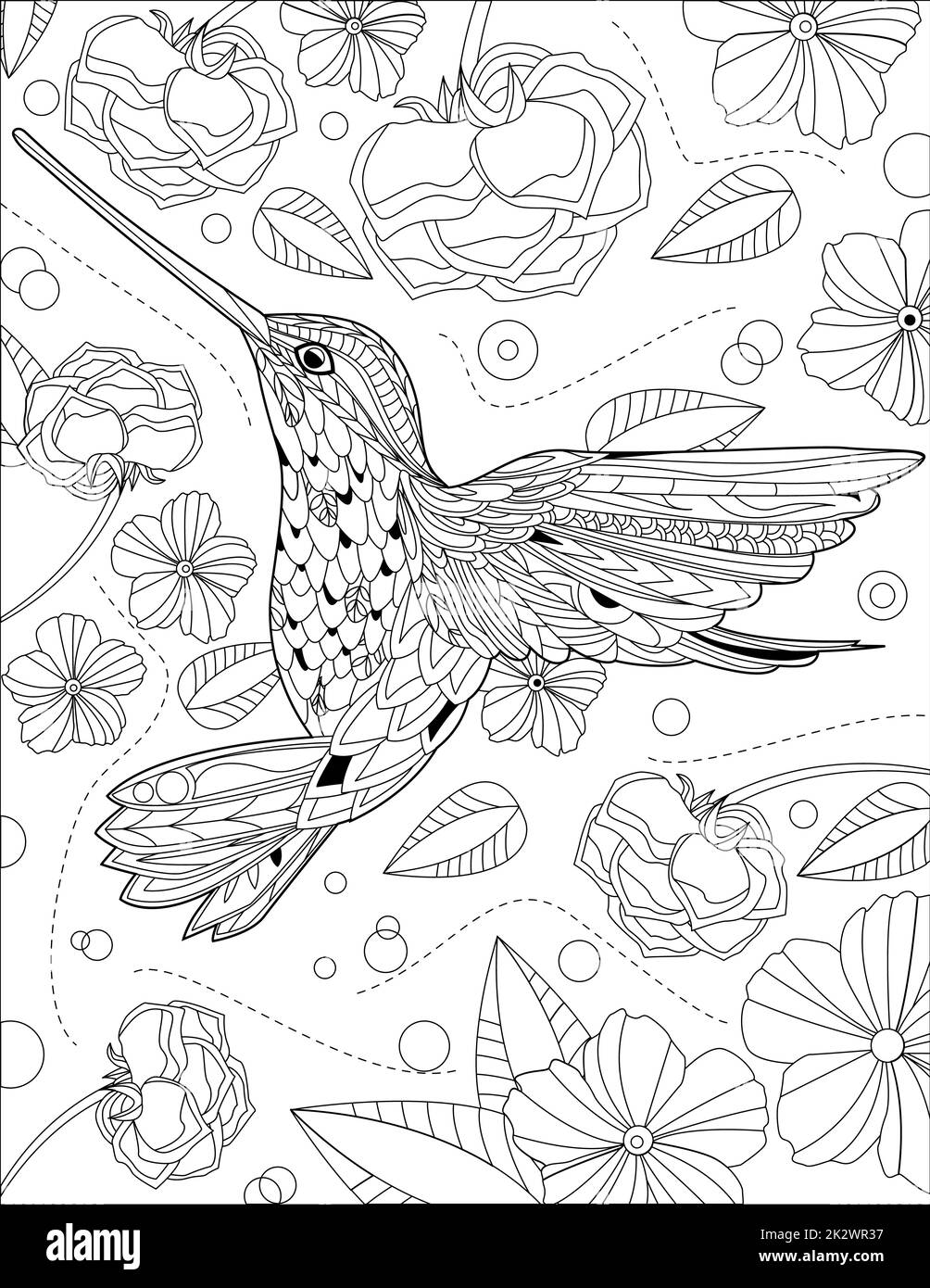 Hummingbird che mangia sciroppo di fiore con fiori e rose che circondano linea disegno colorare Libro Foto Stock
