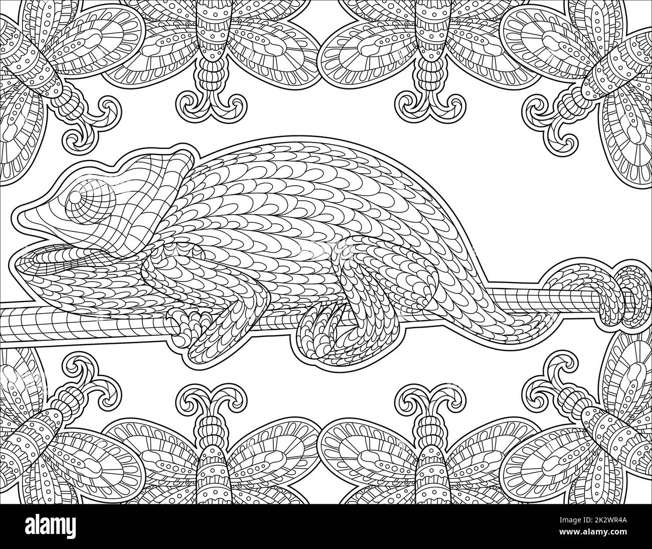 Linea Chameleon disegno Surreounded con cornice farfalla per colorare libro dettagliato Foto Stock