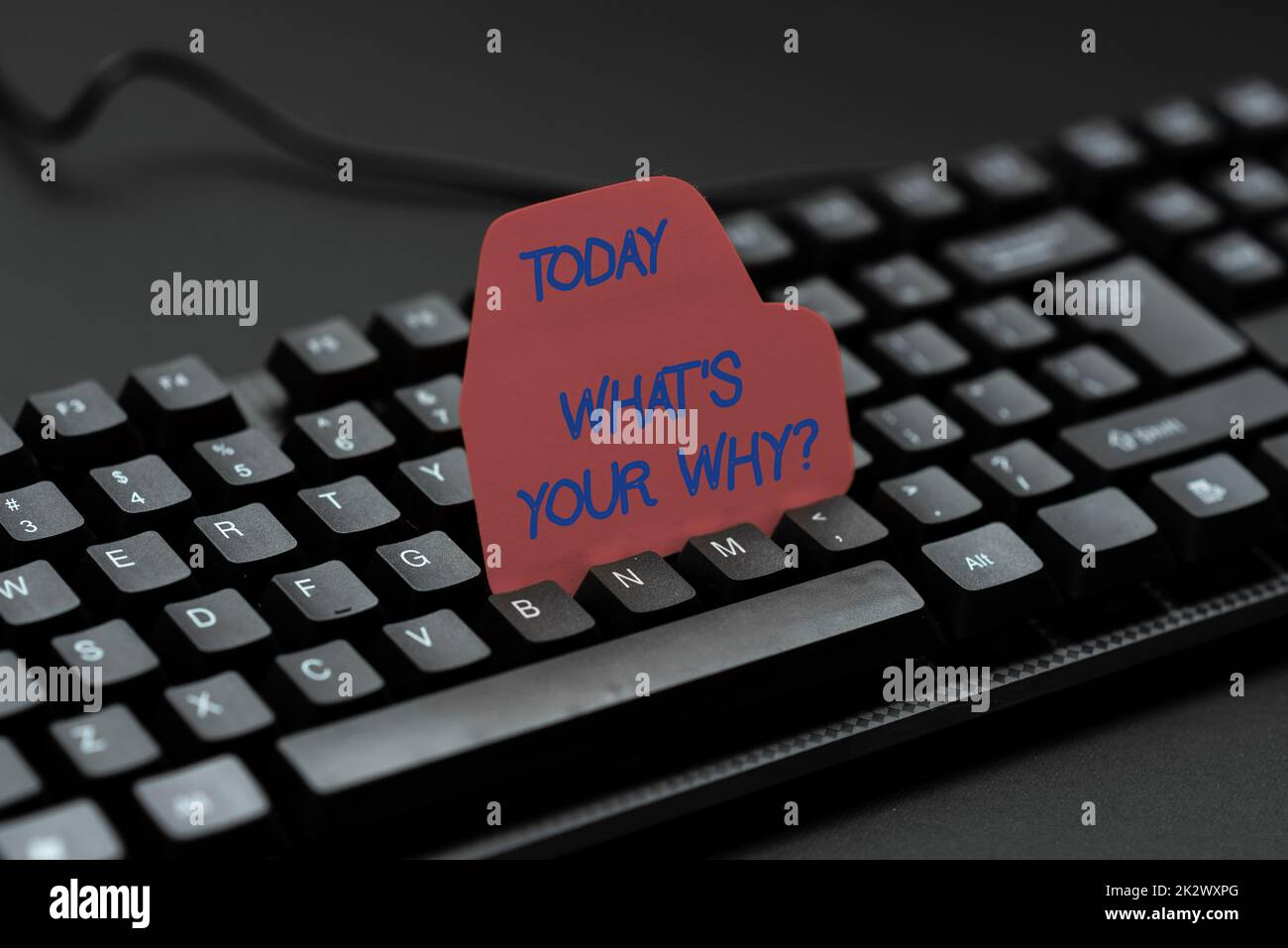 Didascalia concettuale Qual è la tua domanda perché. Concetto di Internet cosa è la tua domanda perché inserire parole chiave e descrizione dell'immagine, digitare definizione e significato della parola Foto Stock