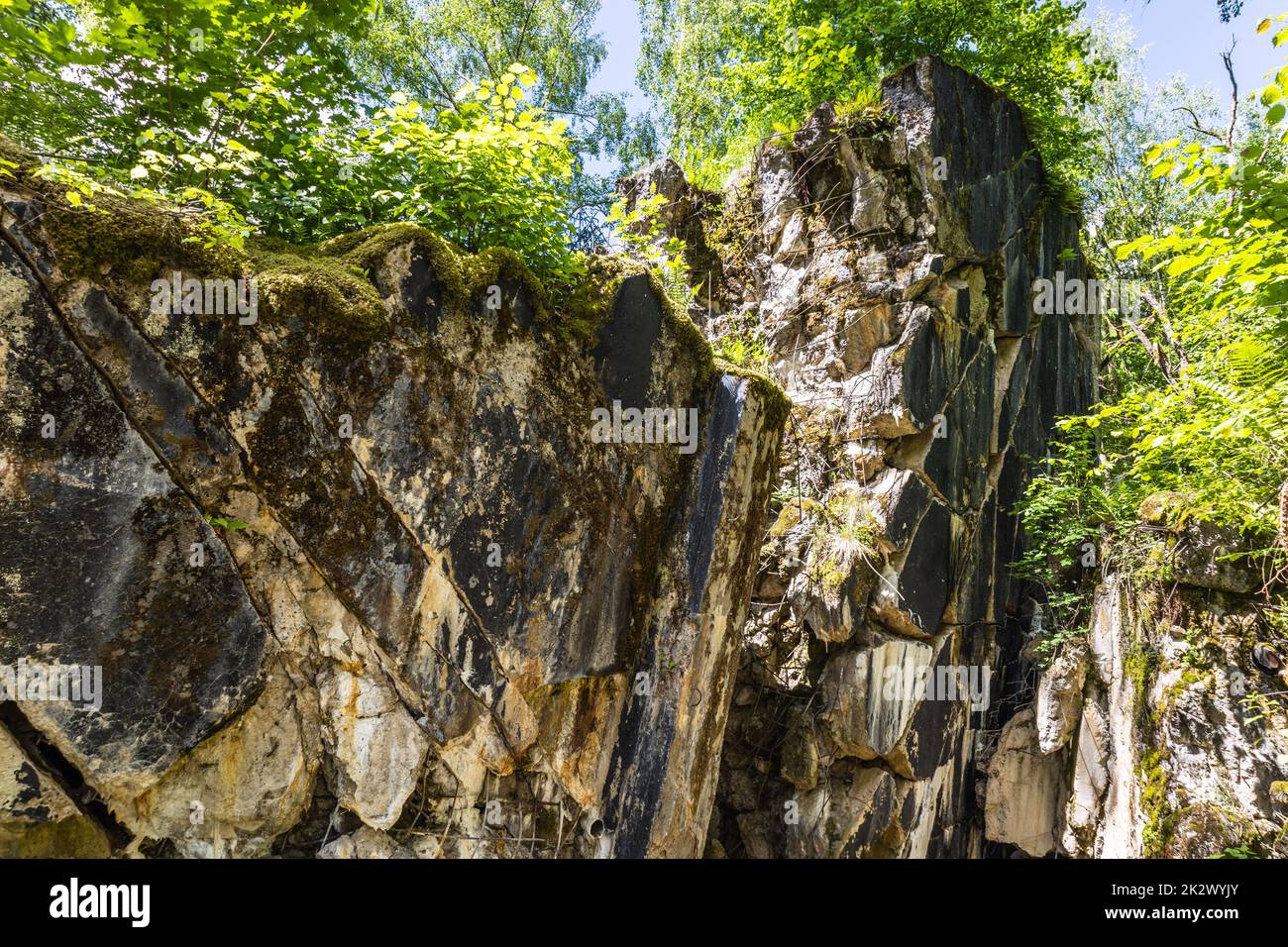 Rovine di un edificio nella Lair del Wolf. Ex quartier generale di guerra di Adolf Hitler in Polonia Foto Stock
