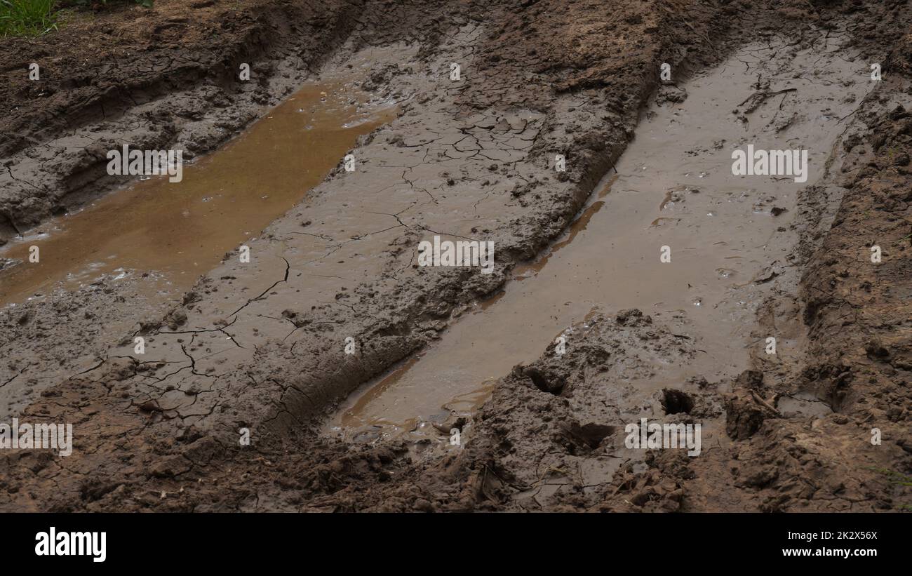 Campo fangoso con ruote e pozzanghere. Strada sporca con cingoli delle ruote del dumper per fango dopo la pioggia. Fuoristrada. Foto Stock