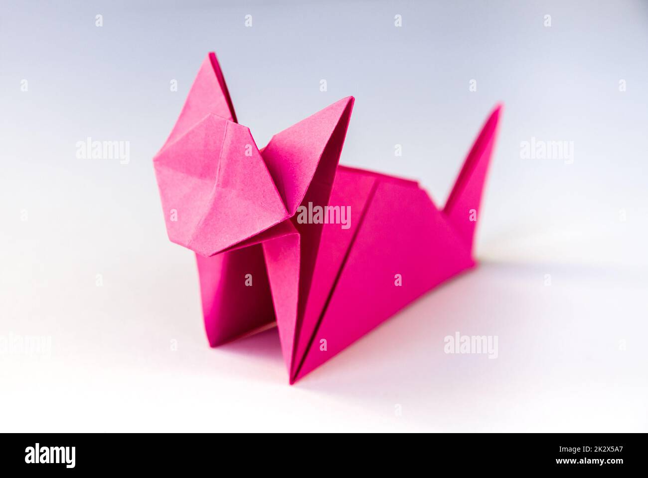 Origami di gatto immagini e fotografie stock ad alta risoluzione - Alamy