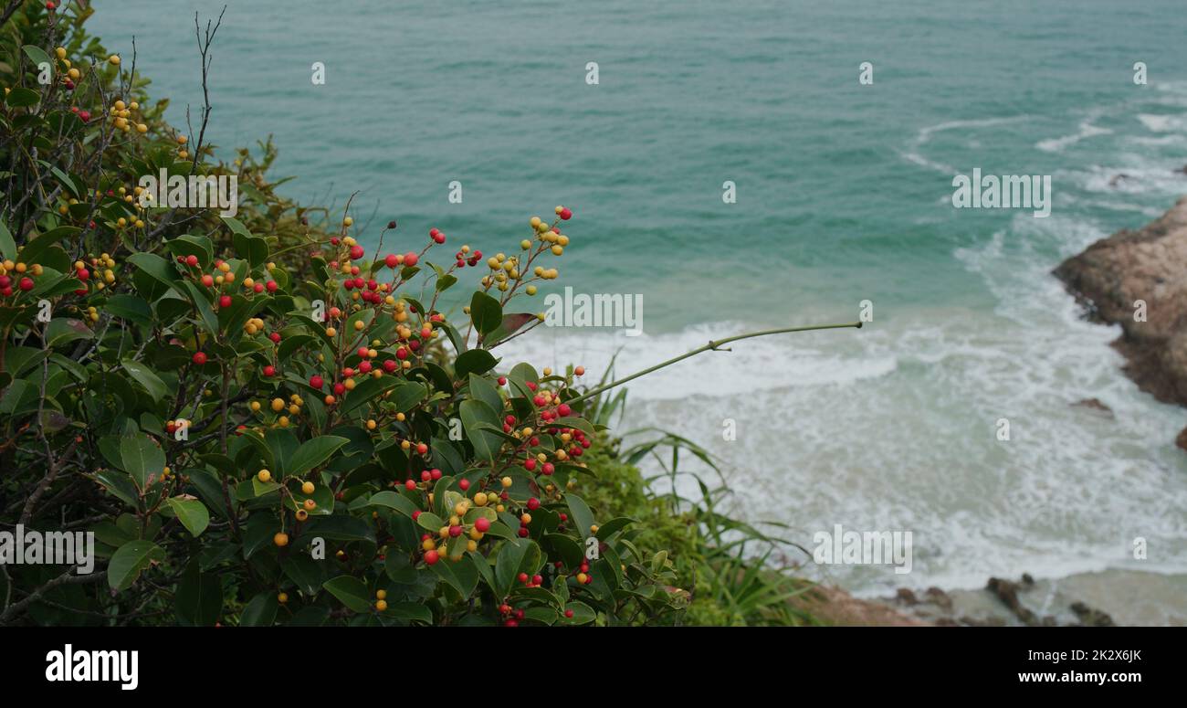 Vista dall'alto del mare in inverno Foto Stock