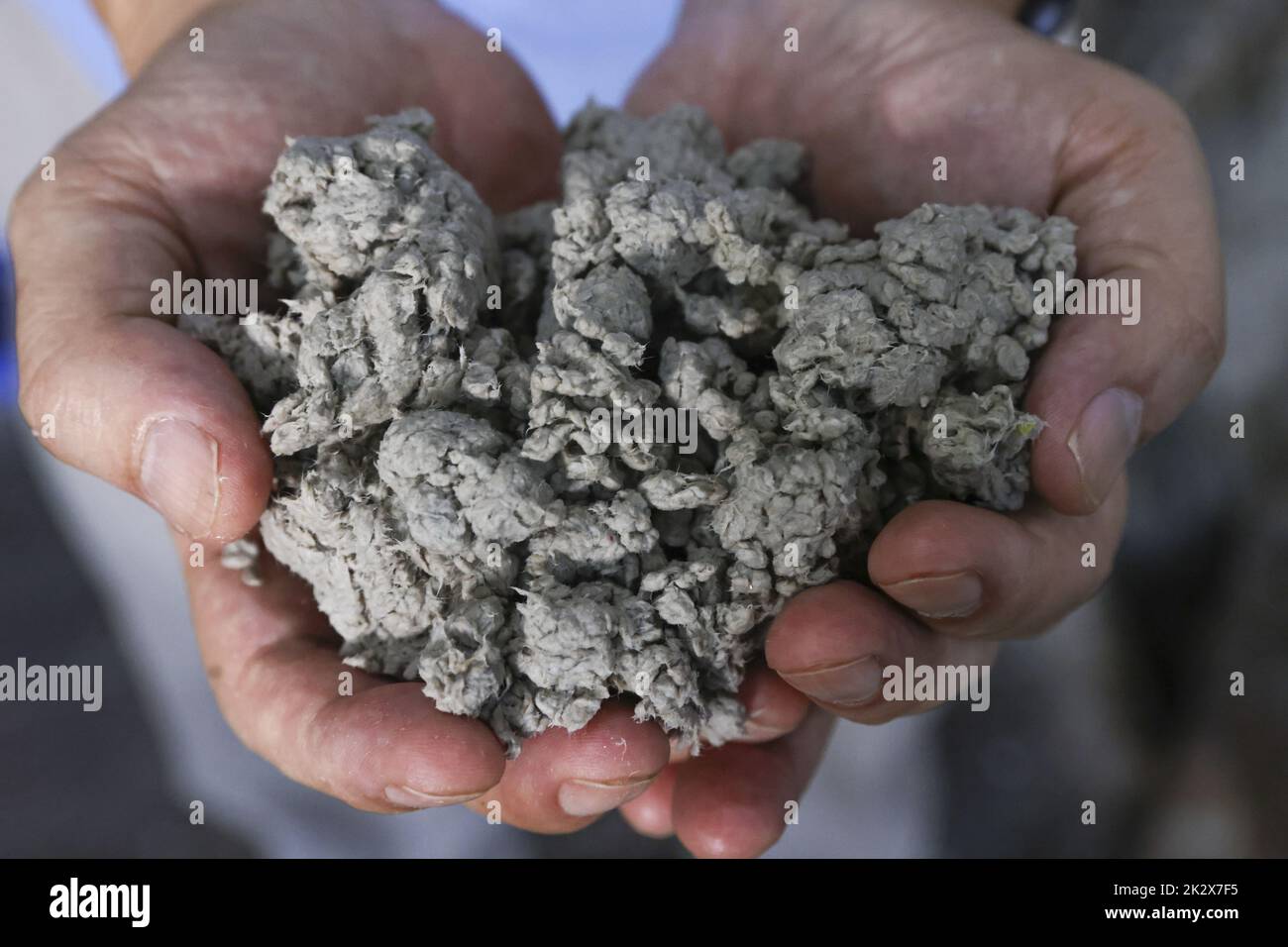 Il prodotto finale della scatola per bevande riciclate nel MIL Mill (l'unico riciclatore di Hong Kong dedicato ai cartoni per bevande) di Yuen Long. 15SEP22 SCMP /K. Y. Cheng Foto Stock