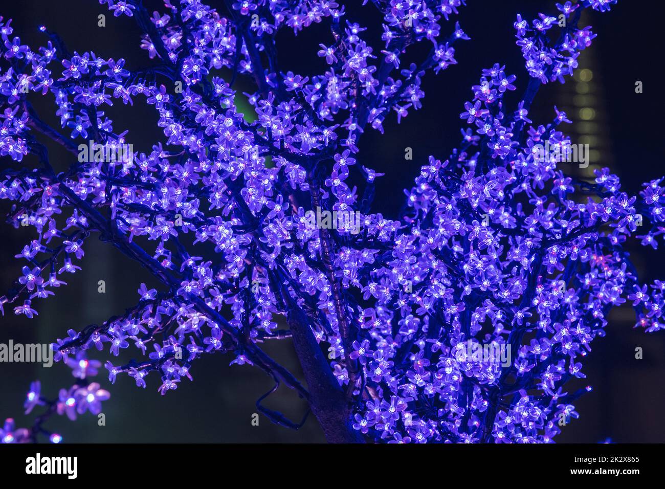 Le luci sono usate per decorare gli alberi per generare la luce bella. Foto Stock
