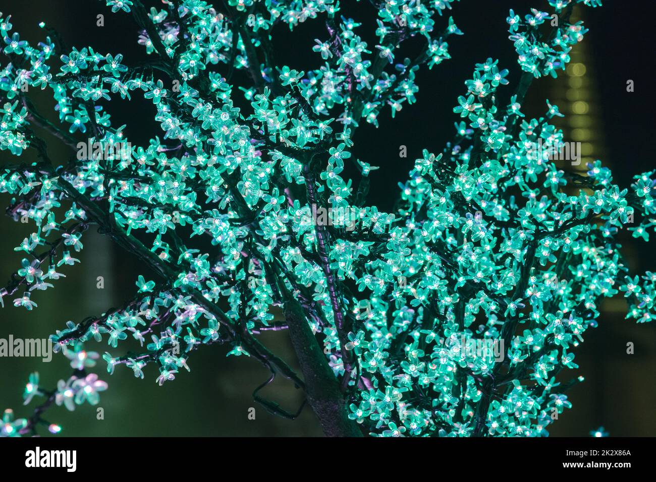 Le luci sono usate per decorare gli alberi per generare la luce bella. Foto Stock