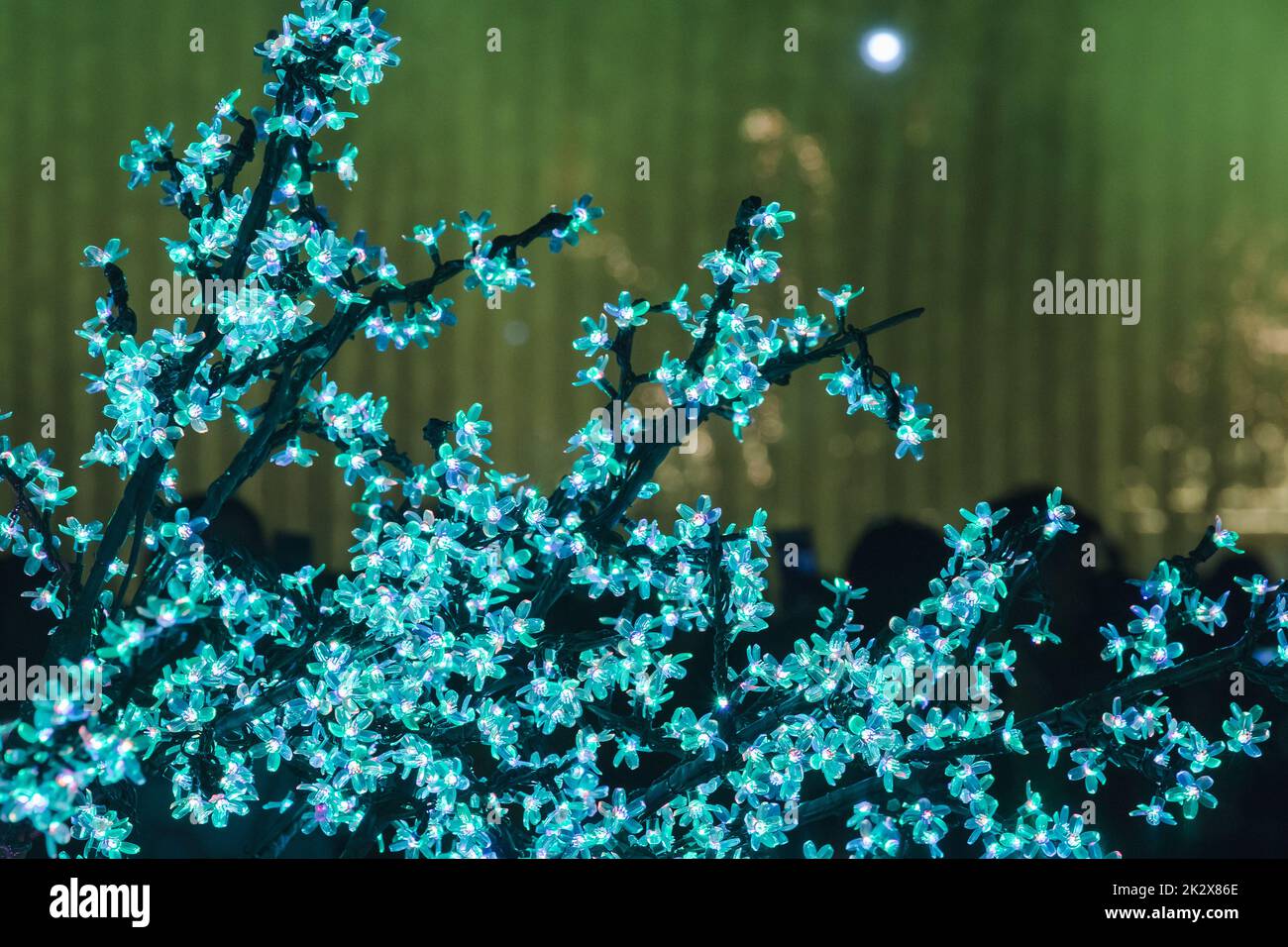 Le luci sono usate per decorare gli alberi per generare la luce bella. Foto Stock