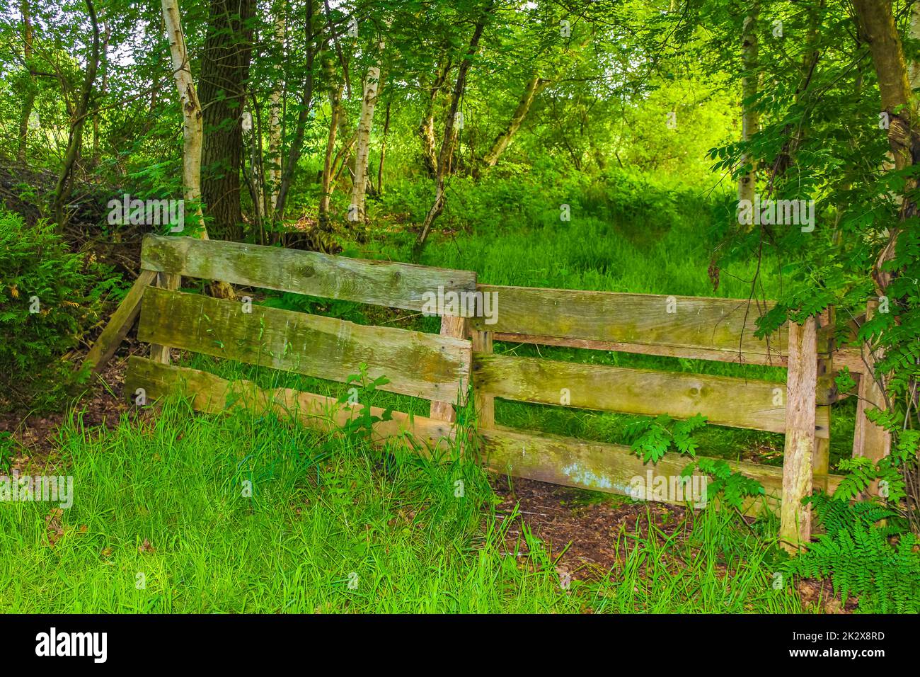 Germania del nord campo agricolo recinto cancello natura paesaggio panorama Germania. Foto Stock