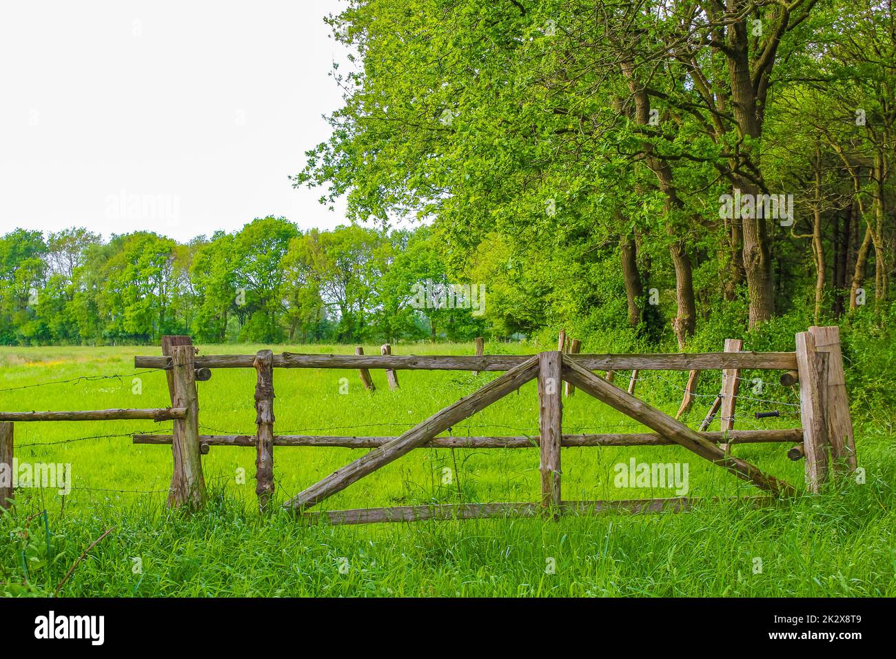 Germania del nord campo agricolo recinto cancello natura paesaggio panorama Germania. Foto Stock