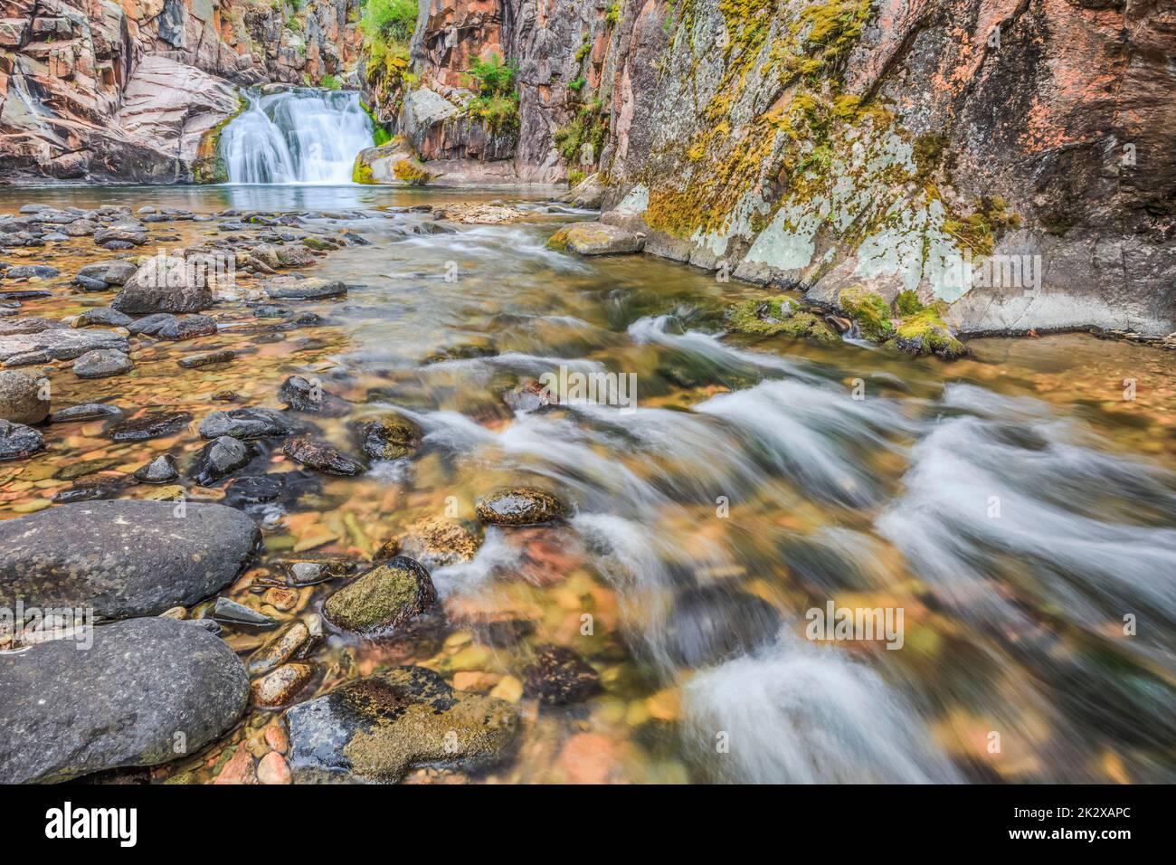 Cascata sul torrente tenderfoot nel piccolo belt le montagne vicino al bianco delle molle di zolfo, montana Foto Stock