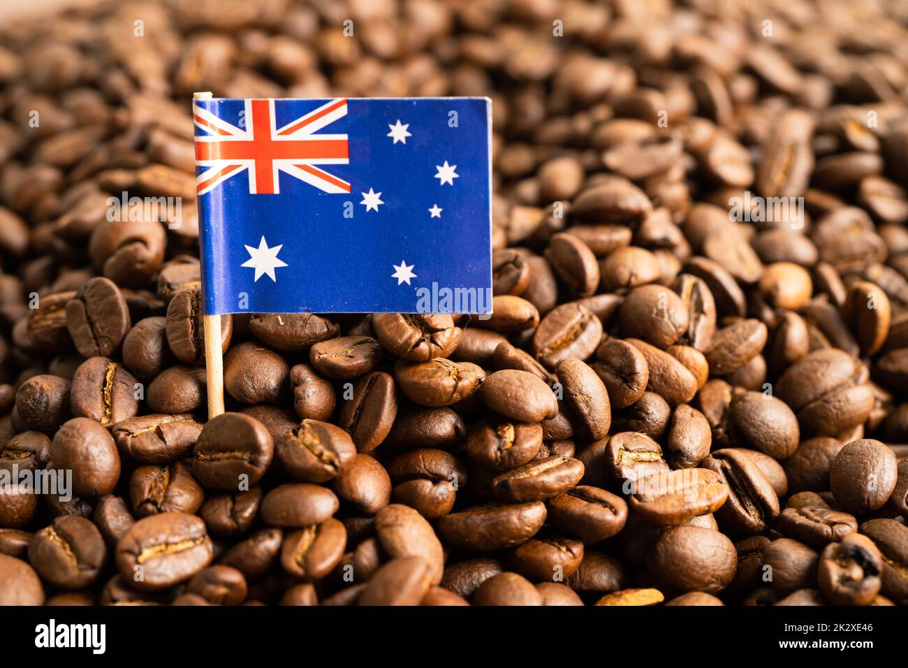 Bandiera dell'Australia sul chicco di caffè, concetto di commercio in linea di esportazione dell'importazione. Foto Stock