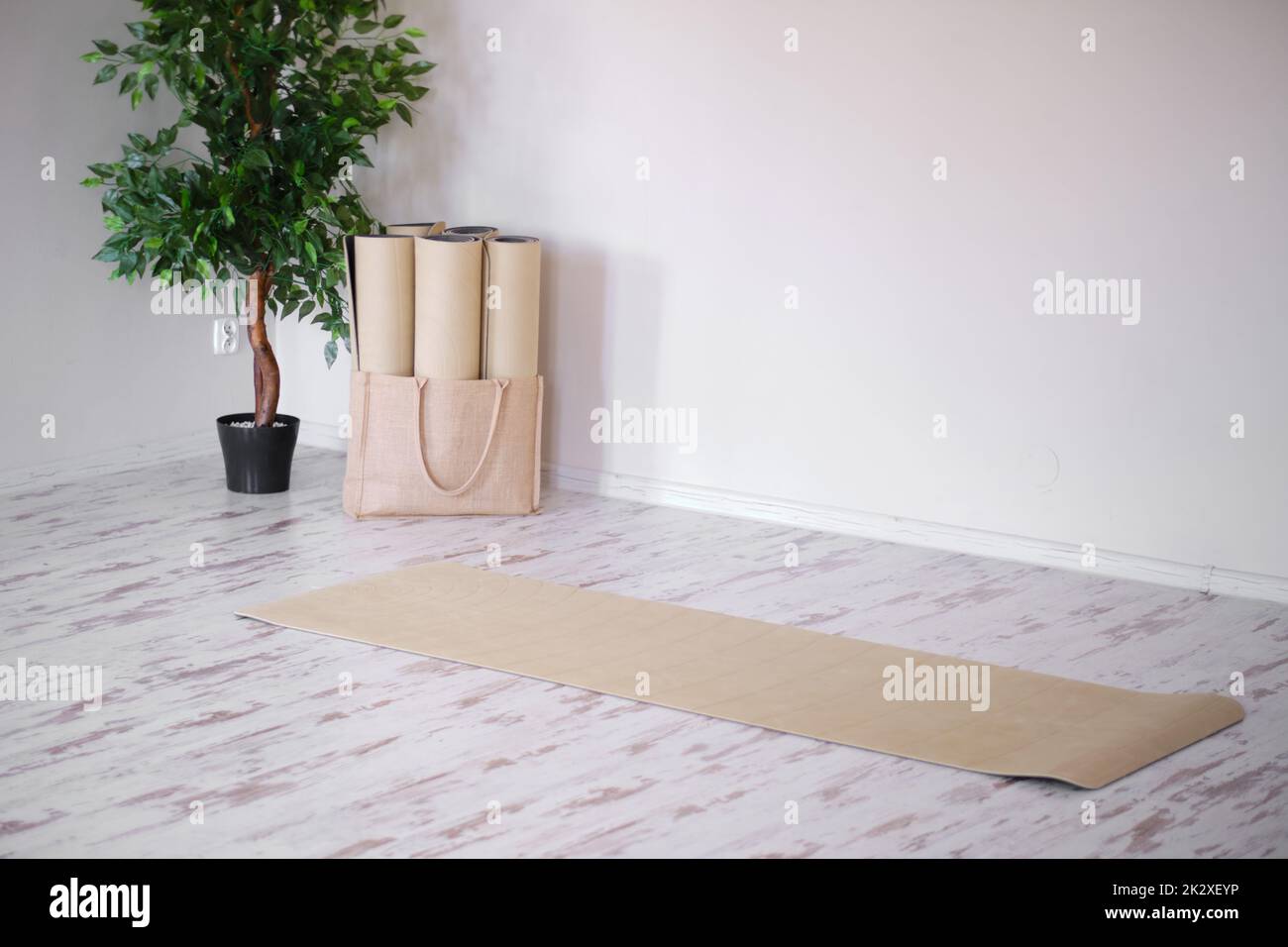 Tappeto yoga non arrotolato su pavimento in legno nel moderno centro fitness o a casa. Foto Stock