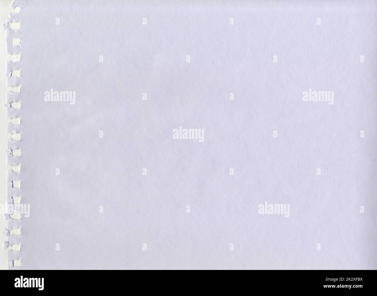 Grande immagine ad alta risoluzione colore bianco acqua non patinata carta ruvida sfondo scansione strappata da un notebook con fori a spirale quadrati per la presentazione sfondo con spazio di copia per il testo Foto Stock