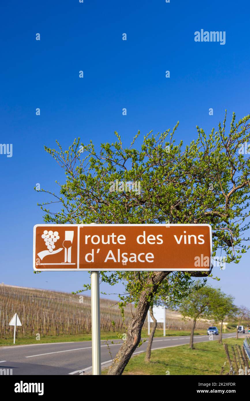 Strada del vino vicino Colmar, Alsazia, Francia Foto Stock
