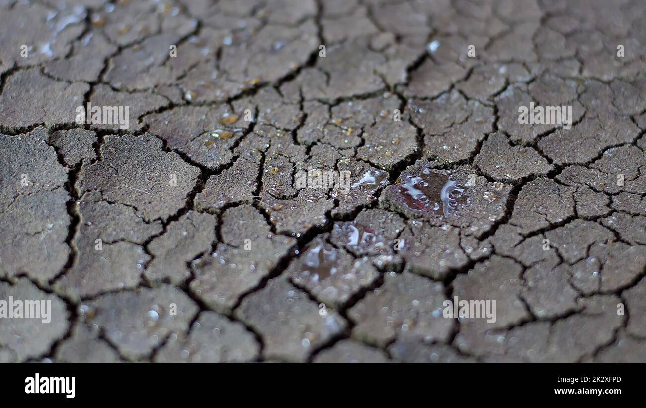 Le gocce d'acqua cadono su suolo secco fratturato di siccità Foto Stock