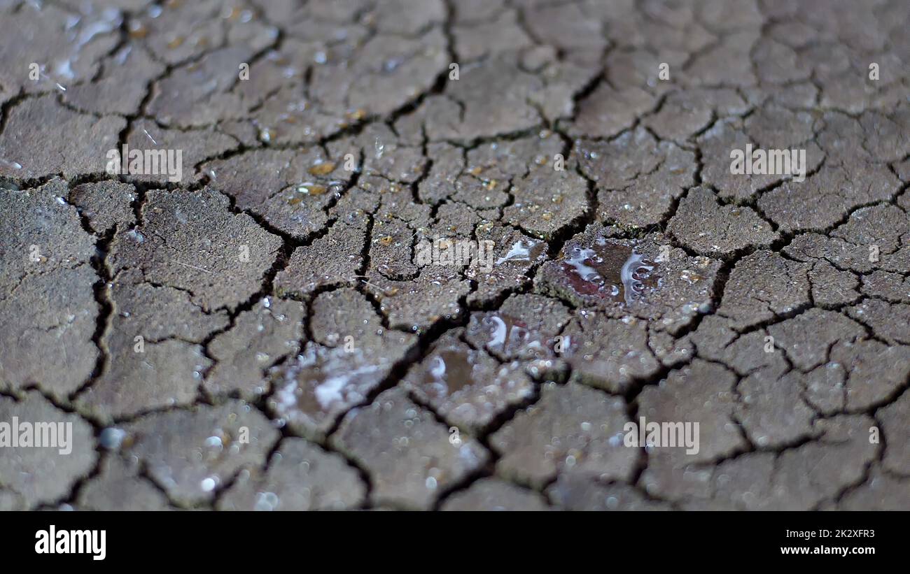 Le gocce d'acqua cadono su suolo secco fratturato di siccità Foto Stock