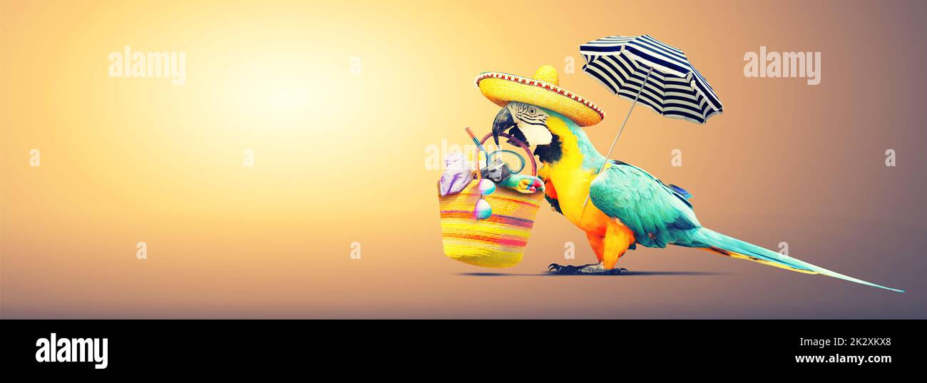 Pappagallo al sole sulla spiaggia tropicale - vacanze estive. Foto Stock