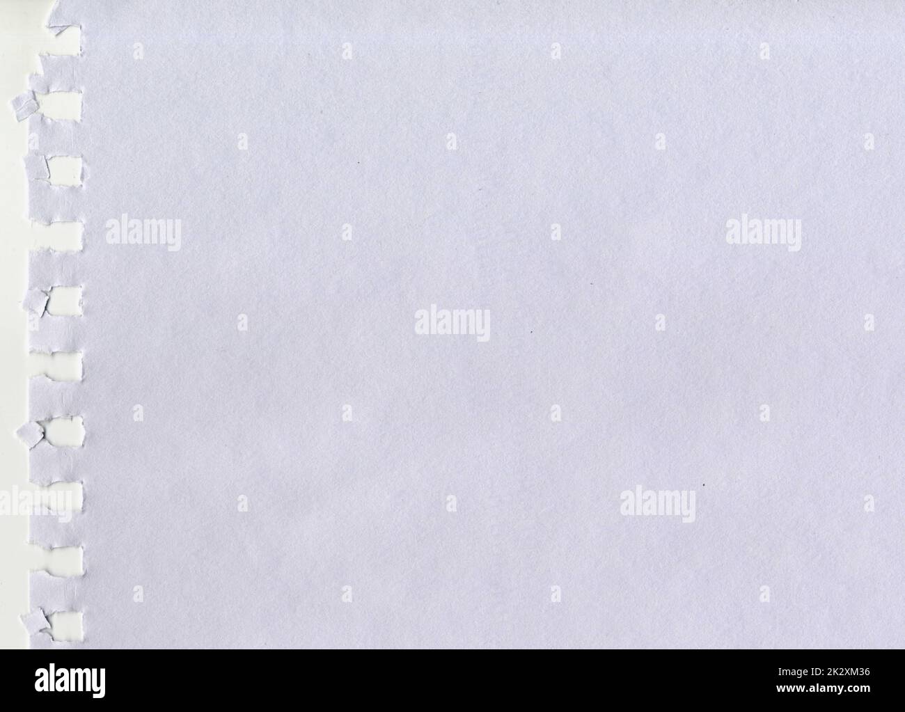 Grande immagine ad alta risoluzione colore bianco acqua non patinata carta ruvida sfondo scansione strappata da un notebook con fori a spirale quadrati per la presentazione sfondo con spazio di copia per il testo Foto Stock