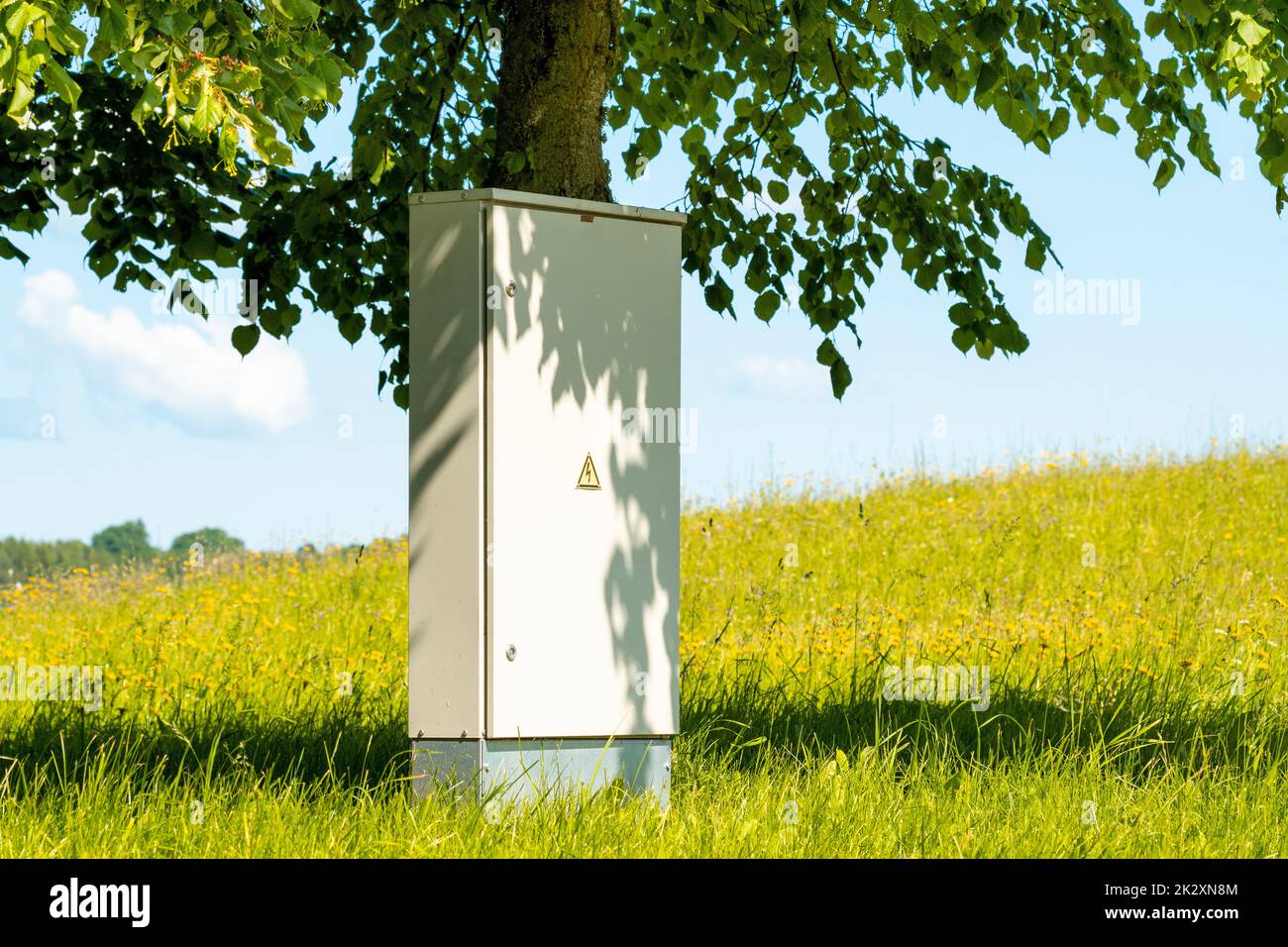 Armadietto di sistema elettrico sotto albero Foto Stock