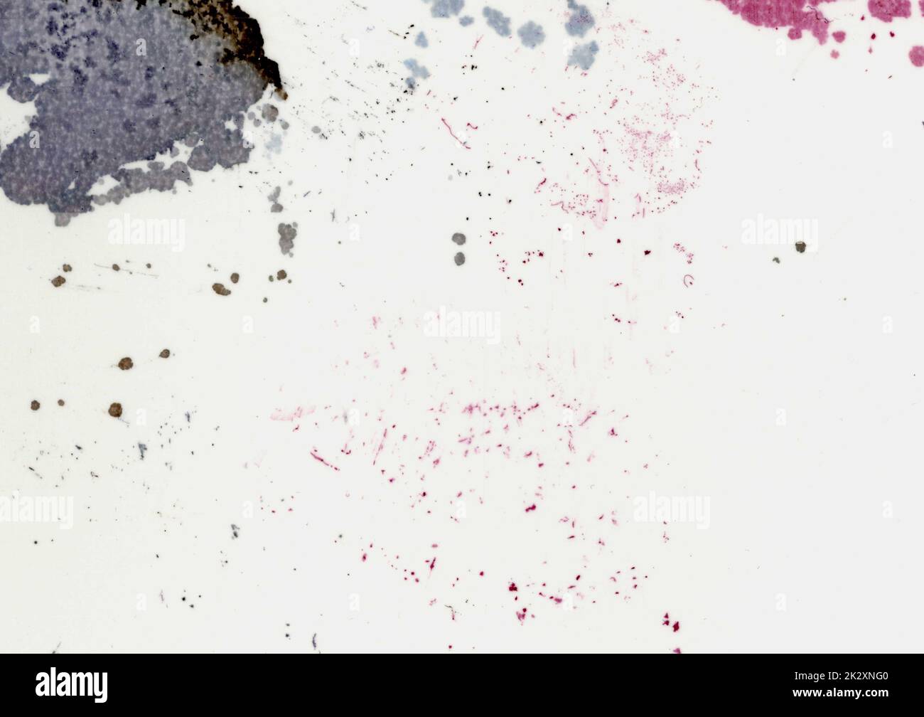 Grande immagine primo piano dello sfondo della trama della carta scansione con grandi macchie colorate di colore rosa, viola, nero, marrone, macchie, puntini e macchie di sfondo con spazio di copia per il testo carta usata sporca Foto Stock