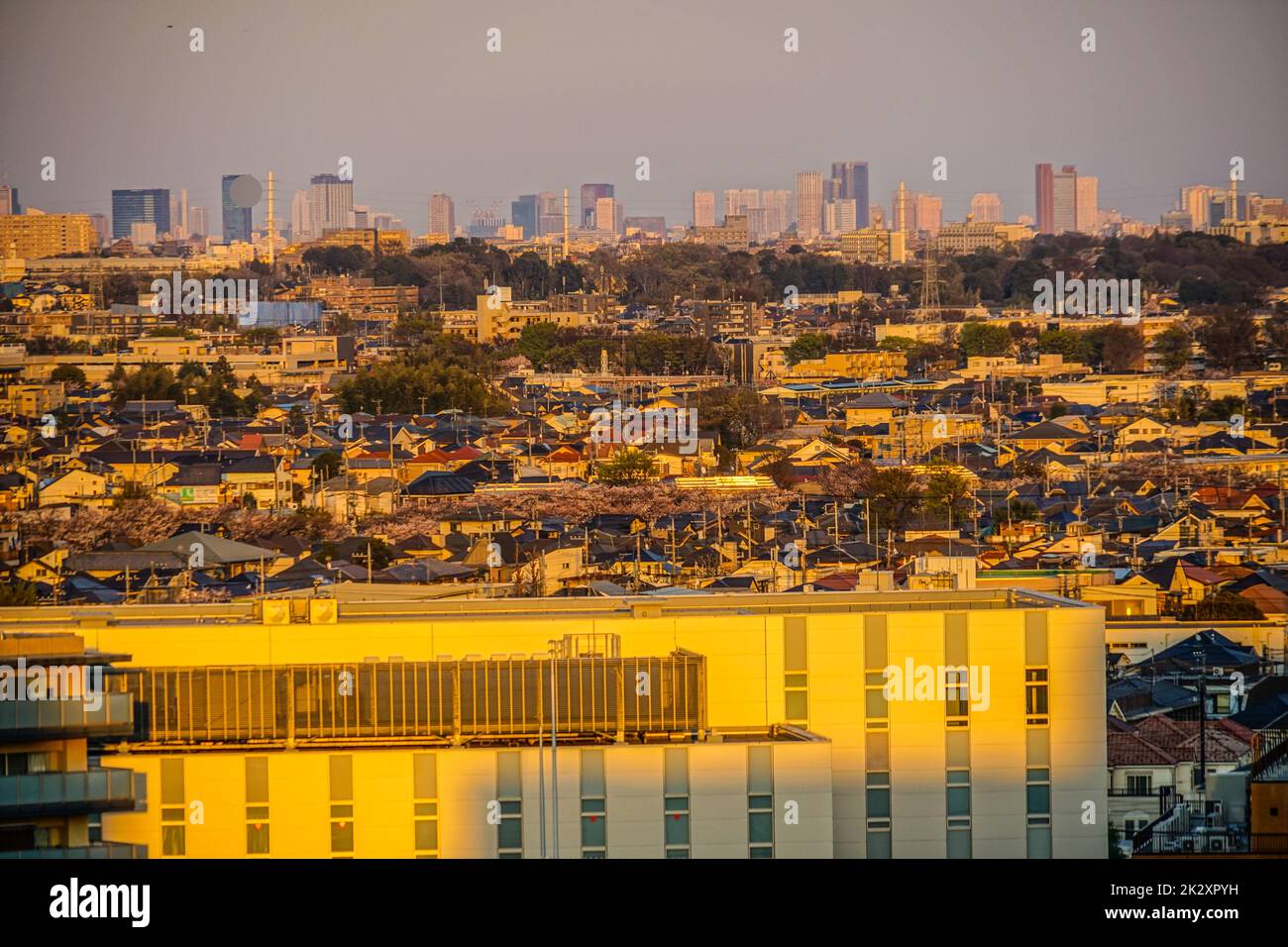 Tetti della città di Chofu, che è avvolto in un tramonto Foto Stock