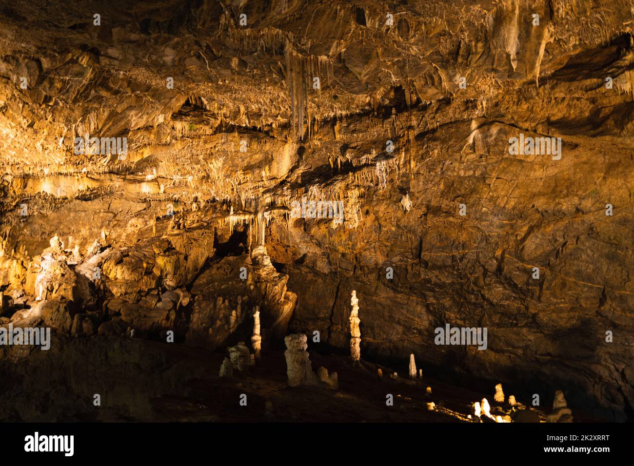 Grotta con stalattiti e stalagmiti. La formazione geologica delle Grotte di Punkva Foto Stock