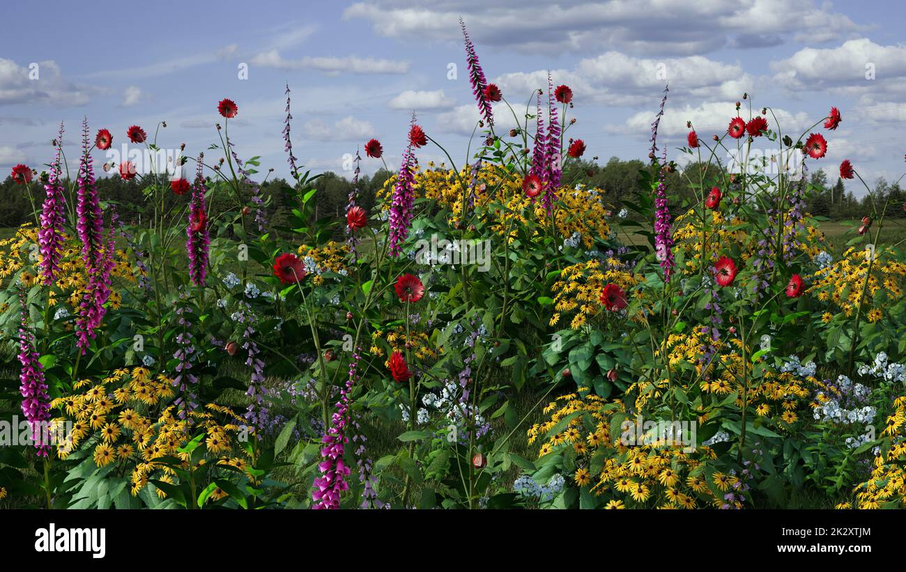 Fiori selvatici in campo in fiore paesaggio giallo fiori daisy prato natura 3D illustrazione Foto Stock