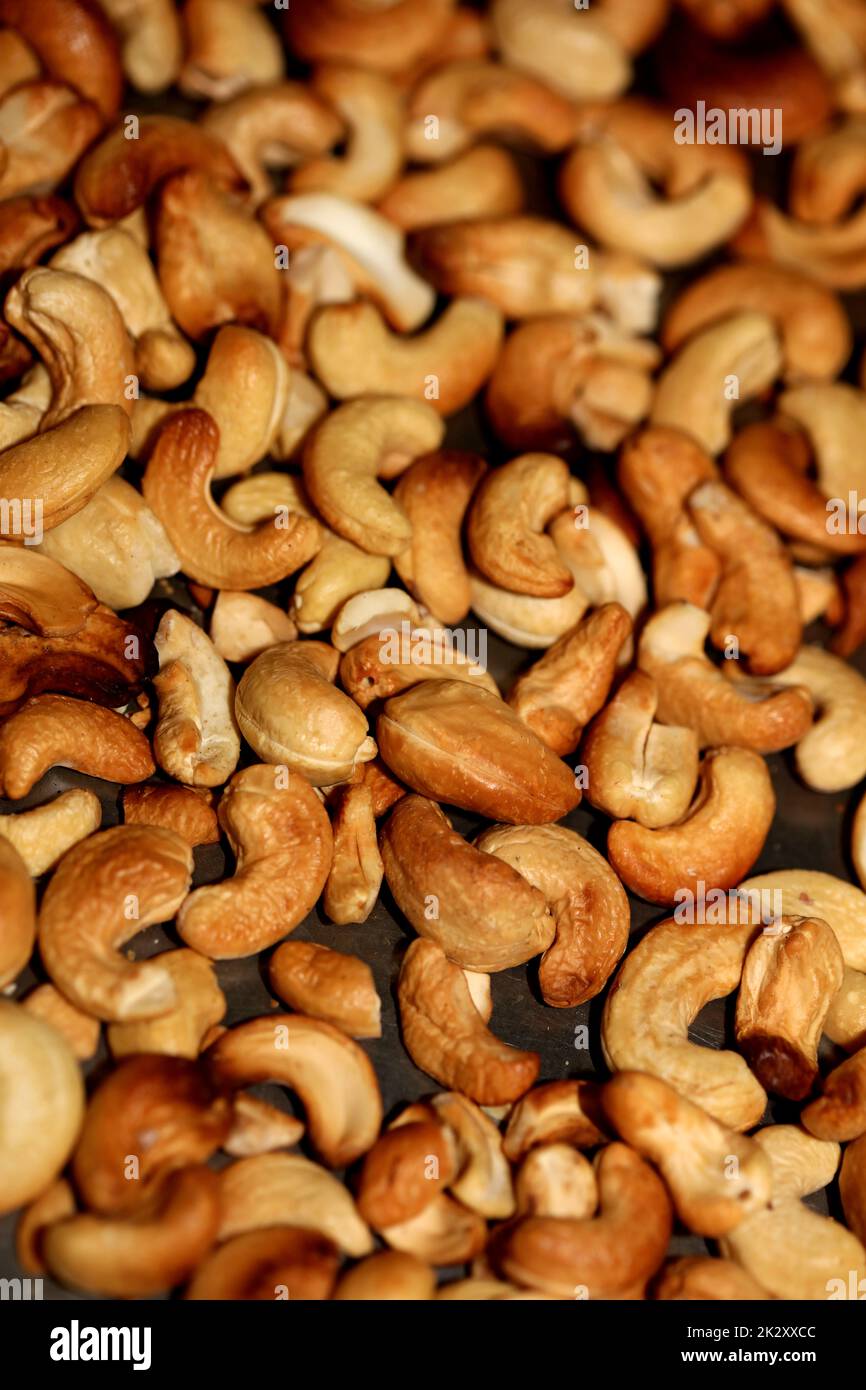 Scacchi a dorso primo piano sfondo moderne stampe di alta qualità Anacardium occidentale famiglia anacardiaceae Foto Stock