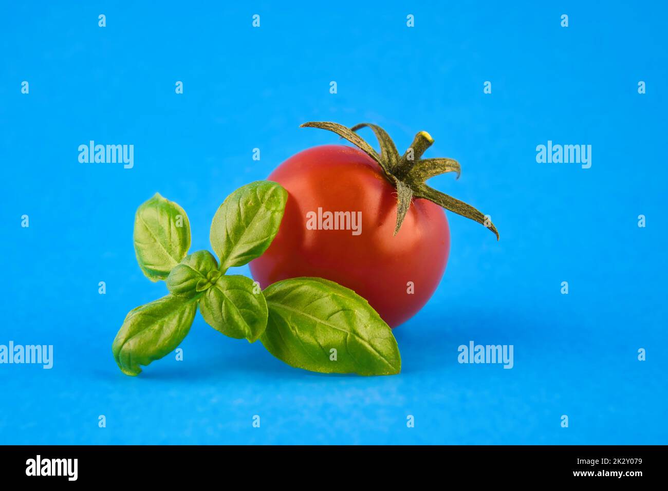 Foglie fresche di basilico verde e pomodori ciliegini Foto Stock