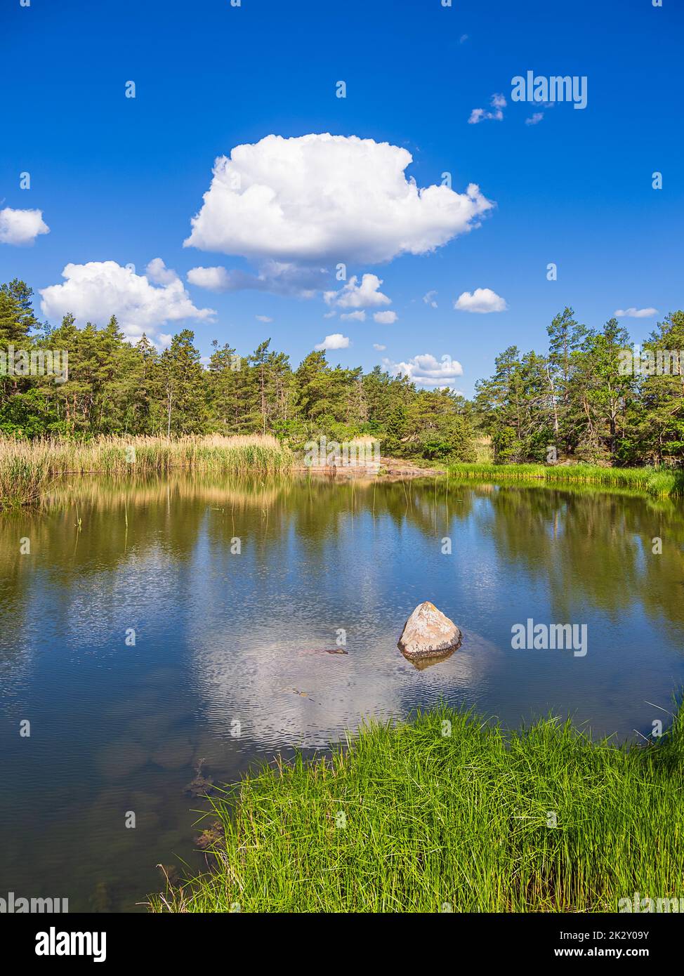 Paesaggio con rocce e alberi sull'isola di UvÃ¶ in Svezia Foto Stock