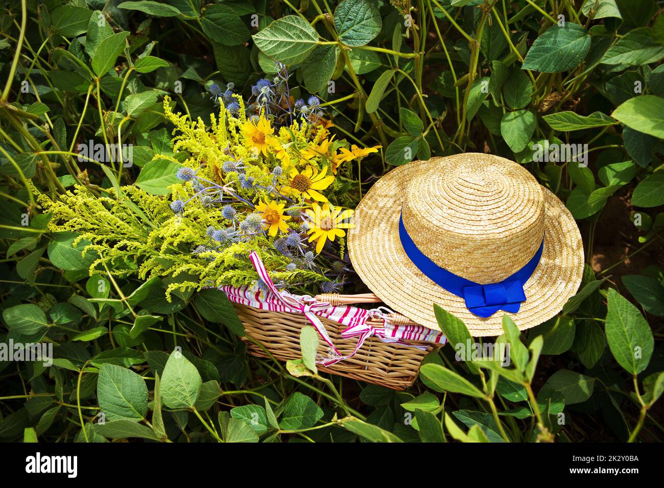 cappello di paglia e cesto con fiori in piedi sull'erba Foto Stock