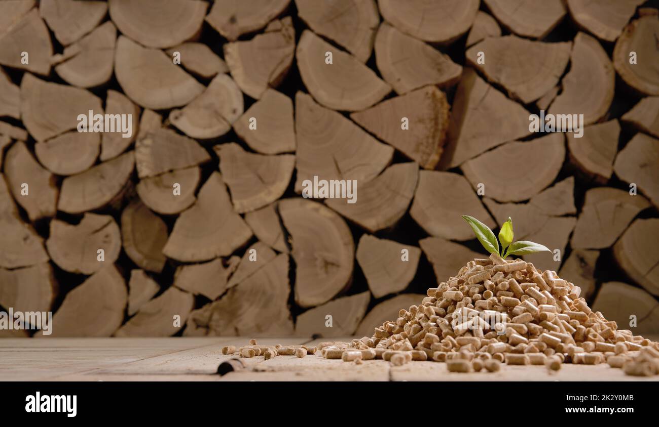 Pila di legno impilata in deposito vicino a pellet e foglie sparse Foto Stock