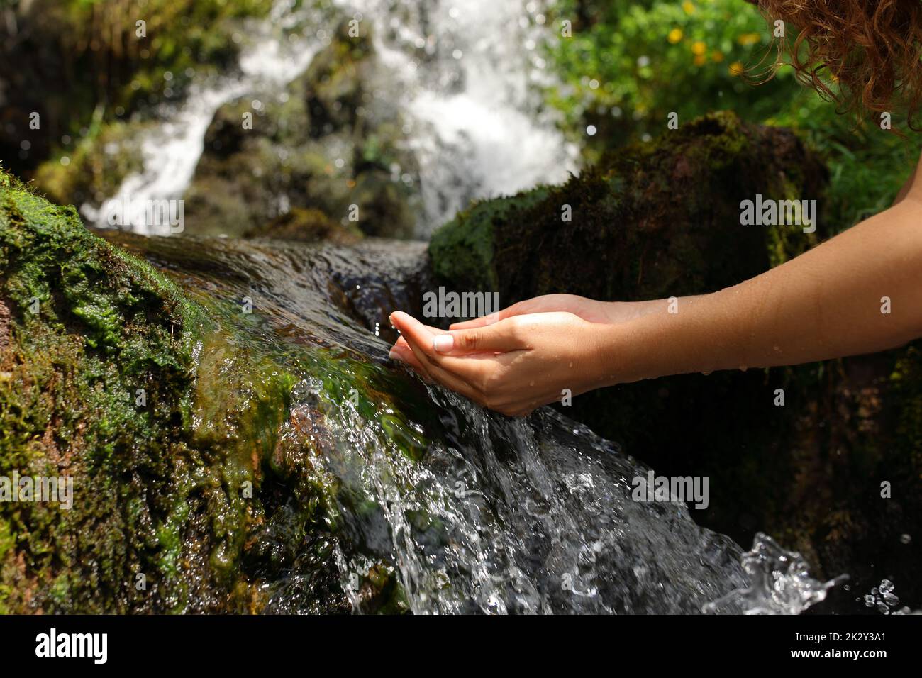 Donna mani che cupping acqua di cattura dalla cascata Foto Stock