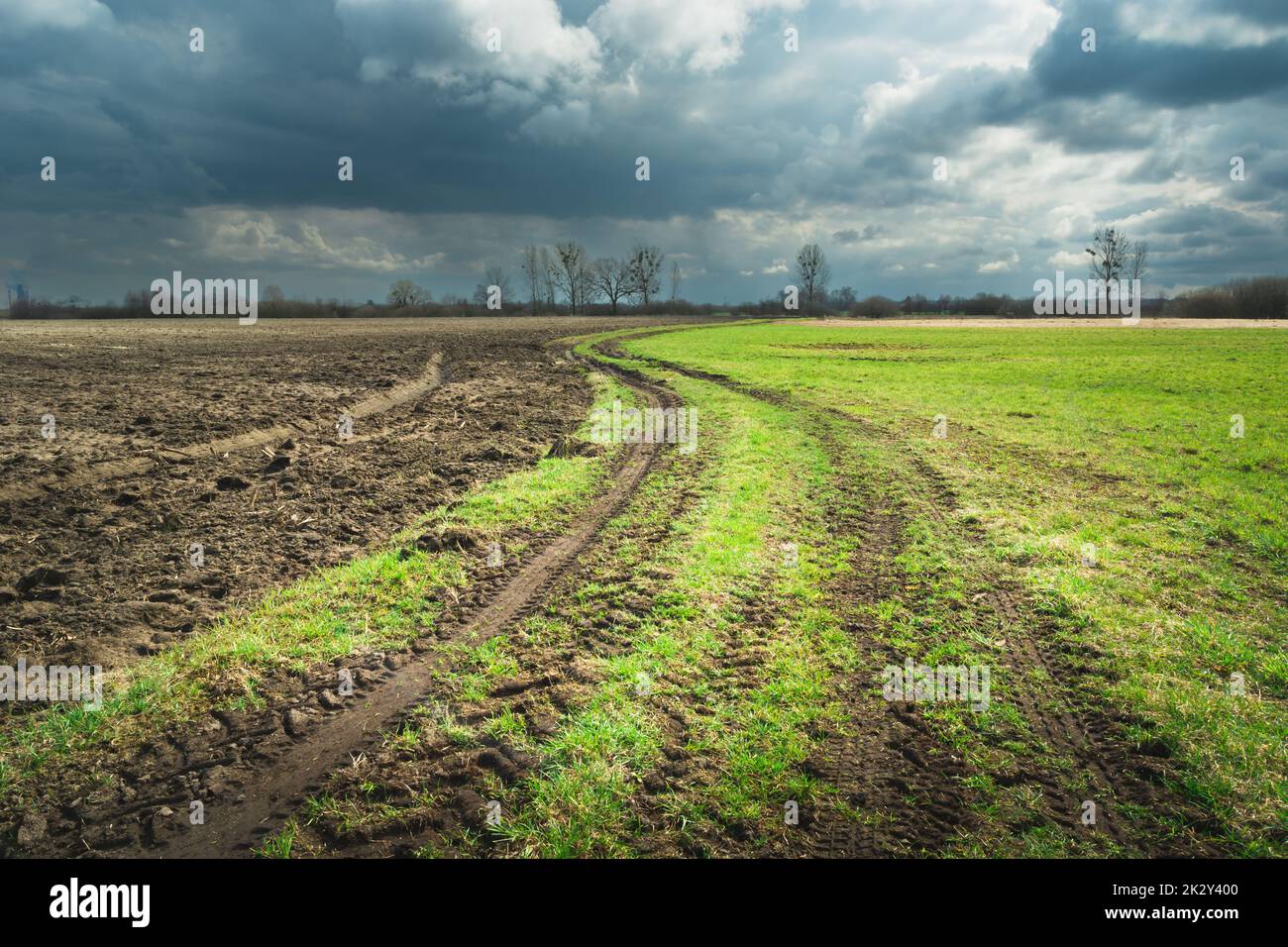 Campo arato accanto al prato e le nuvole piovose Foto Stock